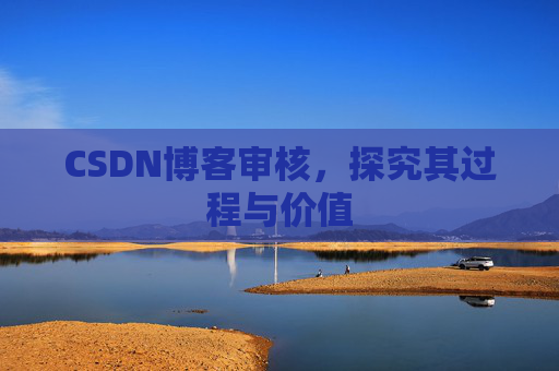 CSDN博客审核，探究其过程与价值